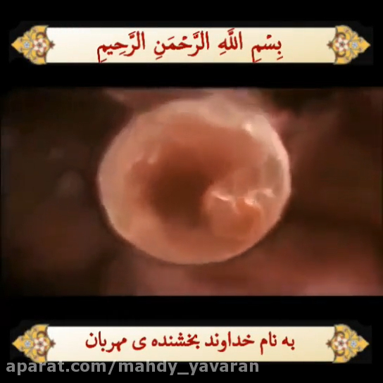 thumb-106.jpg